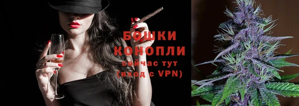 прущие крисы Вяземский