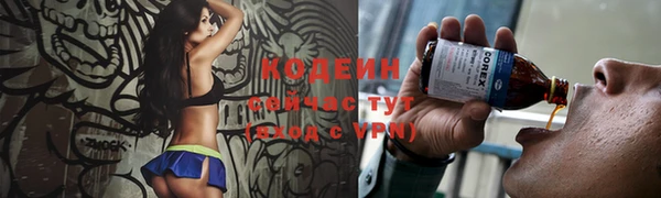 прущие крисы Вяземский