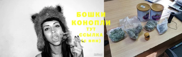 прущие крисы Вяземский