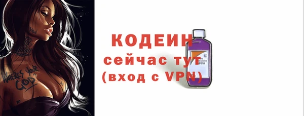 прущие крисы Вяземский