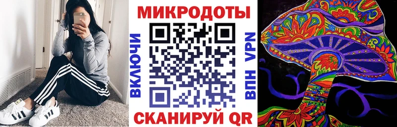 купить закладку  Переславль-Залесский  Галлюциногенные грибы прущие грибы 